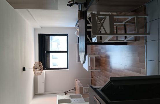 Toulouse-Compans- très bel appartement meublé type 1 bis de 29 m2