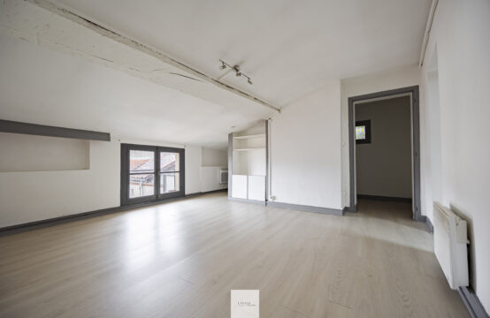 Toulouse- Dupuy- appartement type 3 de 50 m2 carrez et 61 m2 au sol à rénover